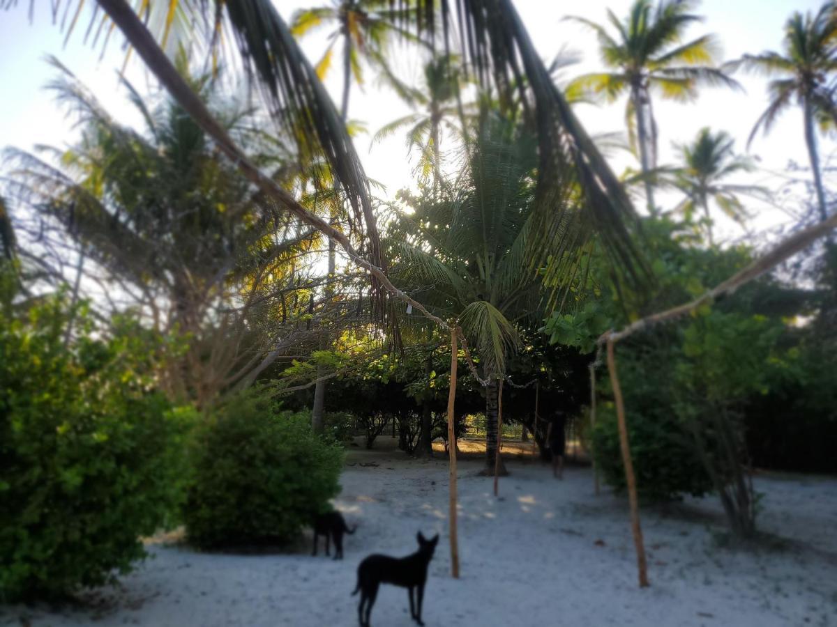 Kilimani Kwetu Beach Hotel Bwejuu Zewnętrze zdjęcie