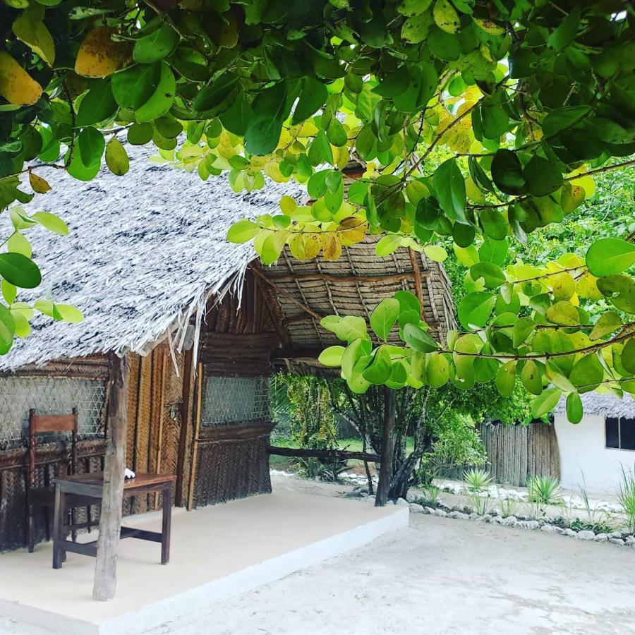 Kilimani Kwetu Beach Hotel Bwejuu Zewnętrze zdjęcie
