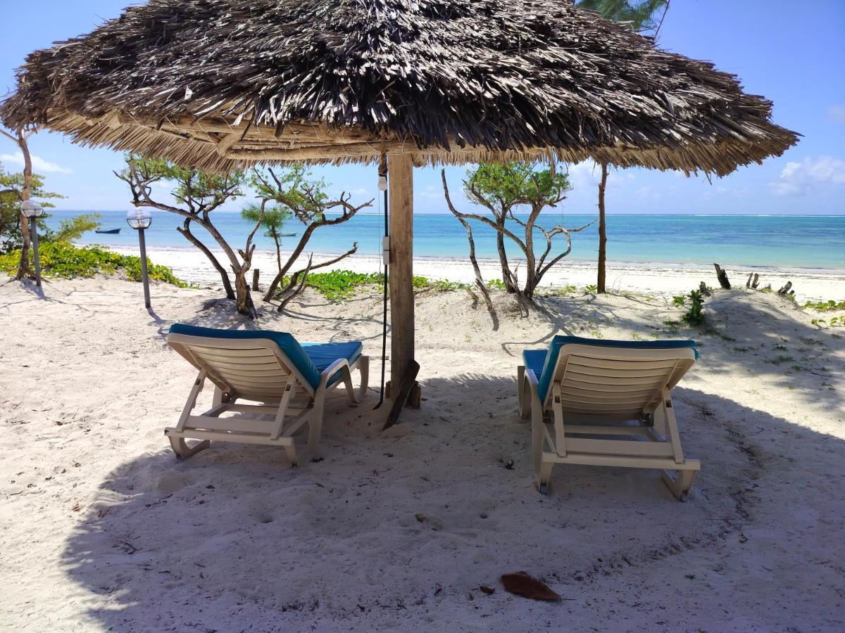 Kilimani Kwetu Beach Hotel Bwejuu Zewnętrze zdjęcie
