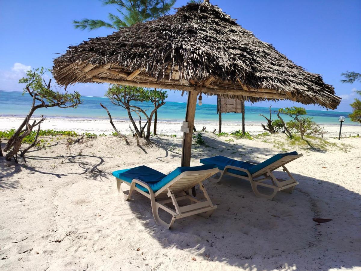 Kilimani Kwetu Beach Hotel Bwejuu Zewnętrze zdjęcie