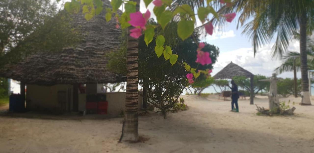 Kilimani Kwetu Beach Hotel Bwejuu Zewnętrze zdjęcie