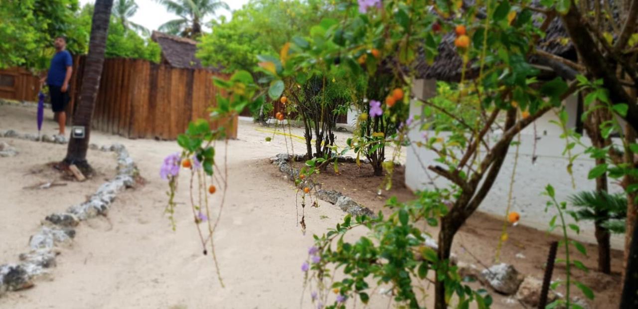 Kilimani Kwetu Beach Hotel Bwejuu Zewnętrze zdjęcie