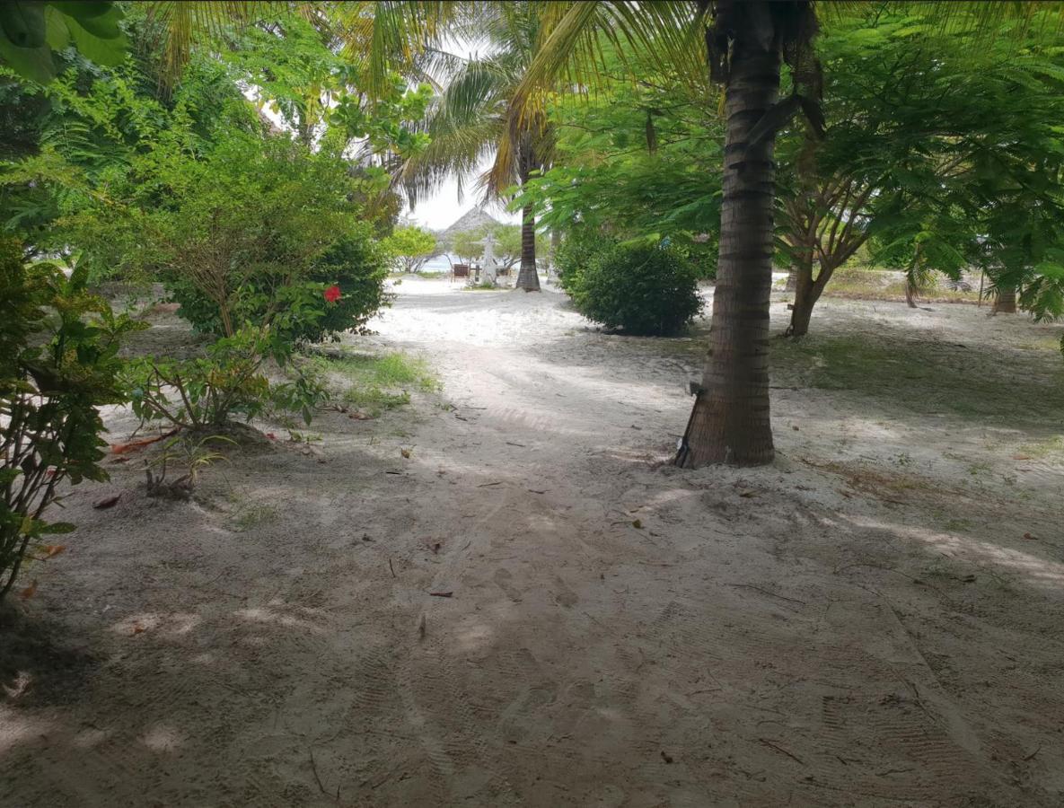 Kilimani Kwetu Beach Hotel Bwejuu Zewnętrze zdjęcie